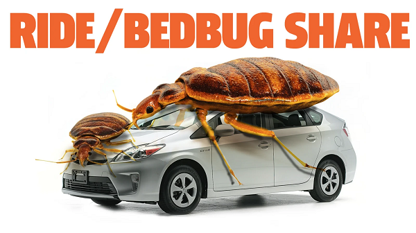 Dallas Exterminator Treats '5 to 10' Ride Share Cars A Week For Bed Bug Infestations