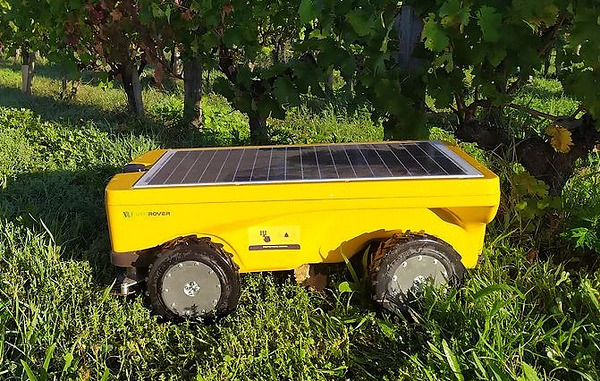 Solar-powered robotic mower for vineyards
